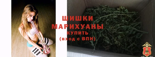 дживик Лагань