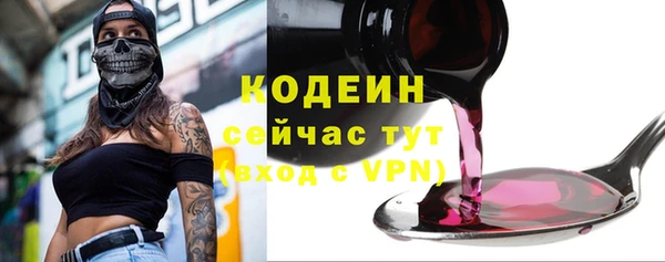 дживик Лагань