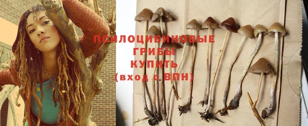 мескалин Лабытнанги