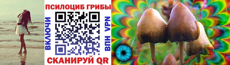 Галлюциногенные грибы ЛСД  Купить где  Медынь 
